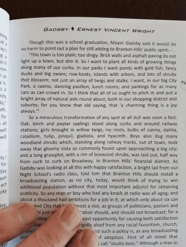 You'd have me fooled if you said this was an early attempt at writing a book with AI. (Reddit)