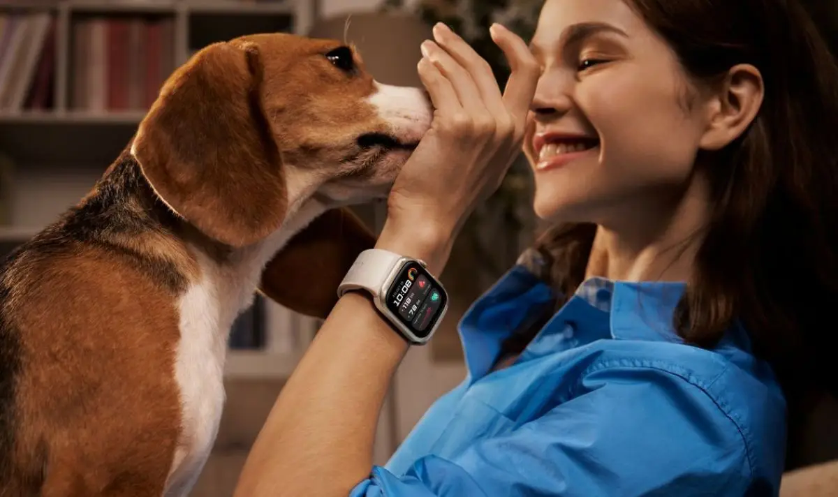 The tech item has been praised by experts and purchasers alike (Huawei)