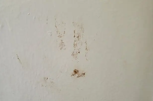 Katarzyna also claimed there was fresh blood on the walls of their chalet.