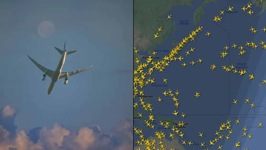 Getty Stock/flightradar24