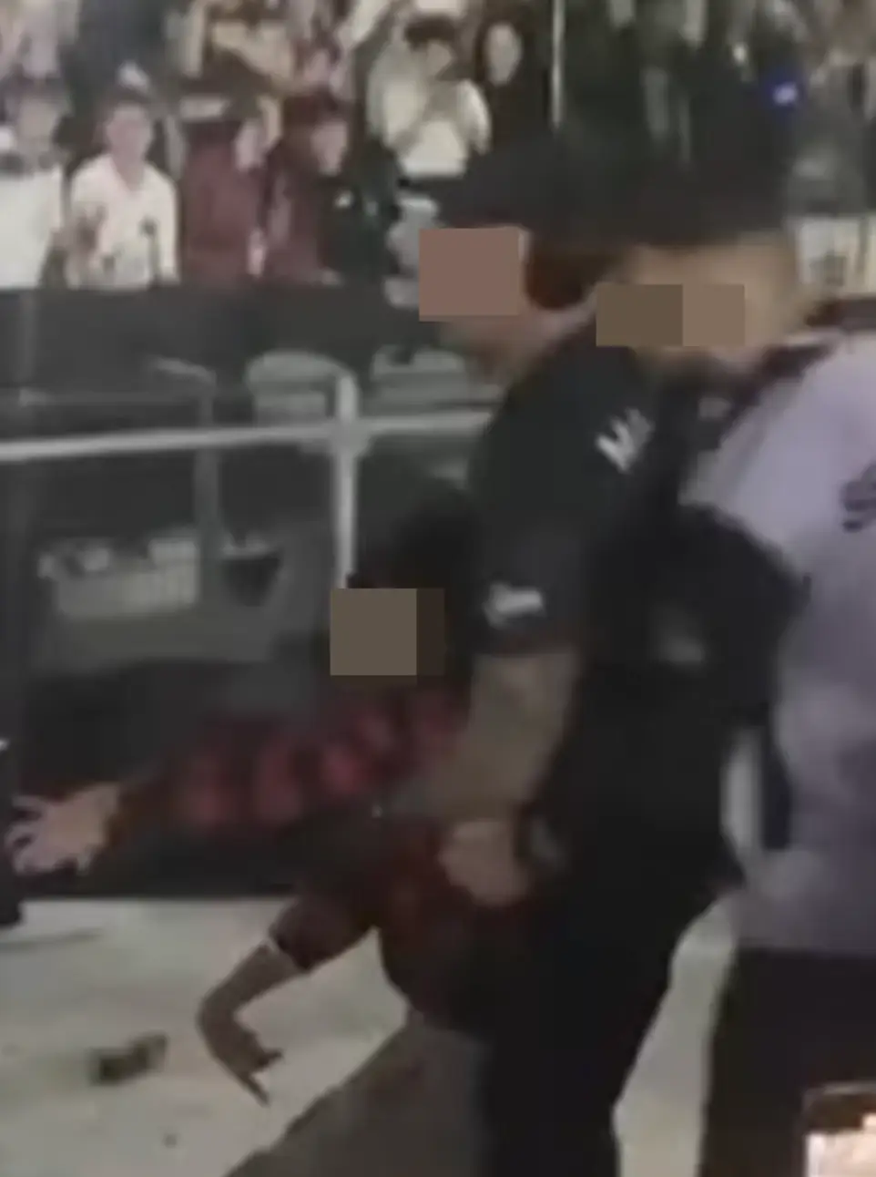 The fan suffered a seizure after being kicked in the head (TikTok/feindaddy)