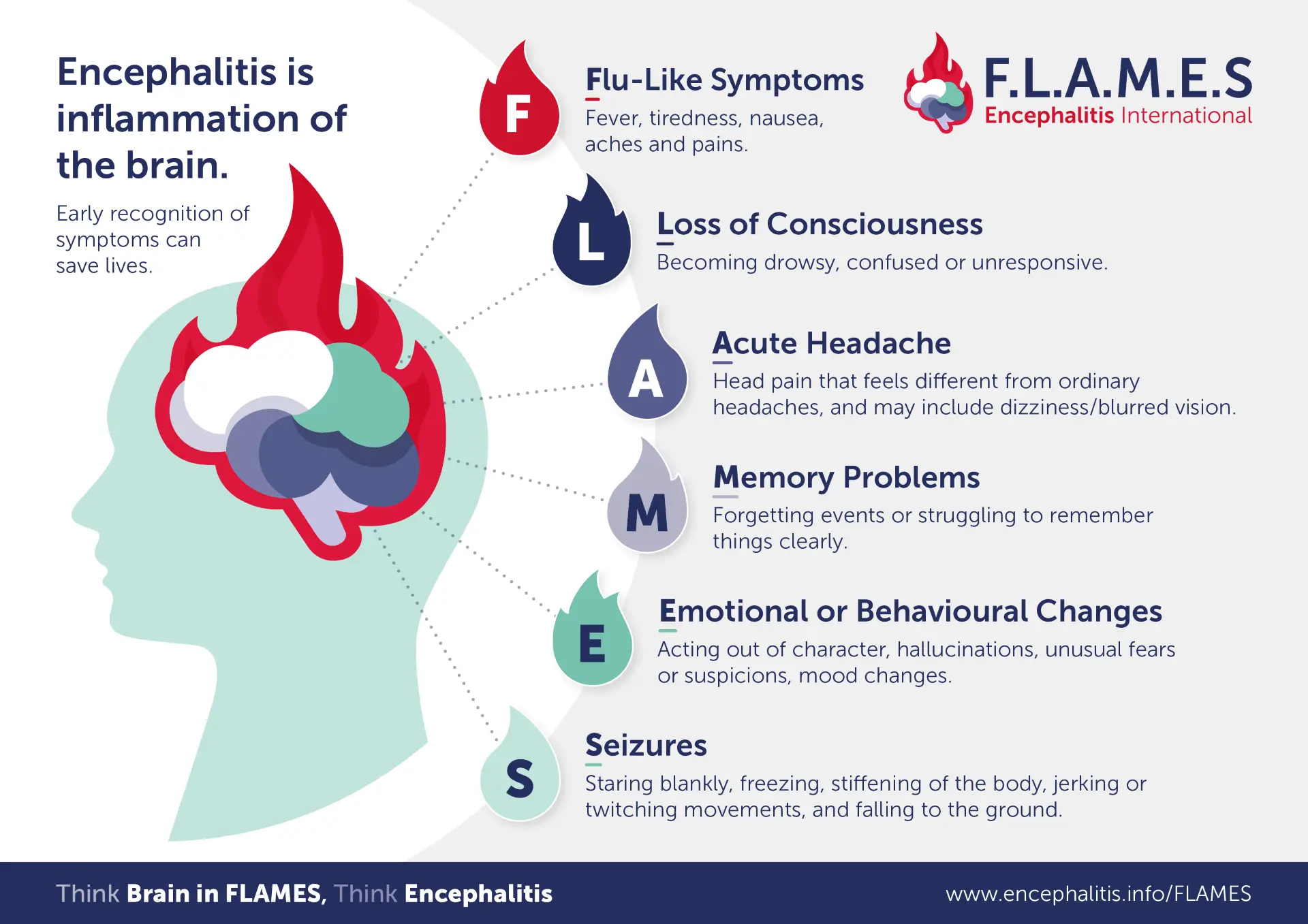 The symptoms include signs that can be mistaken for flu (Encephalitis International)