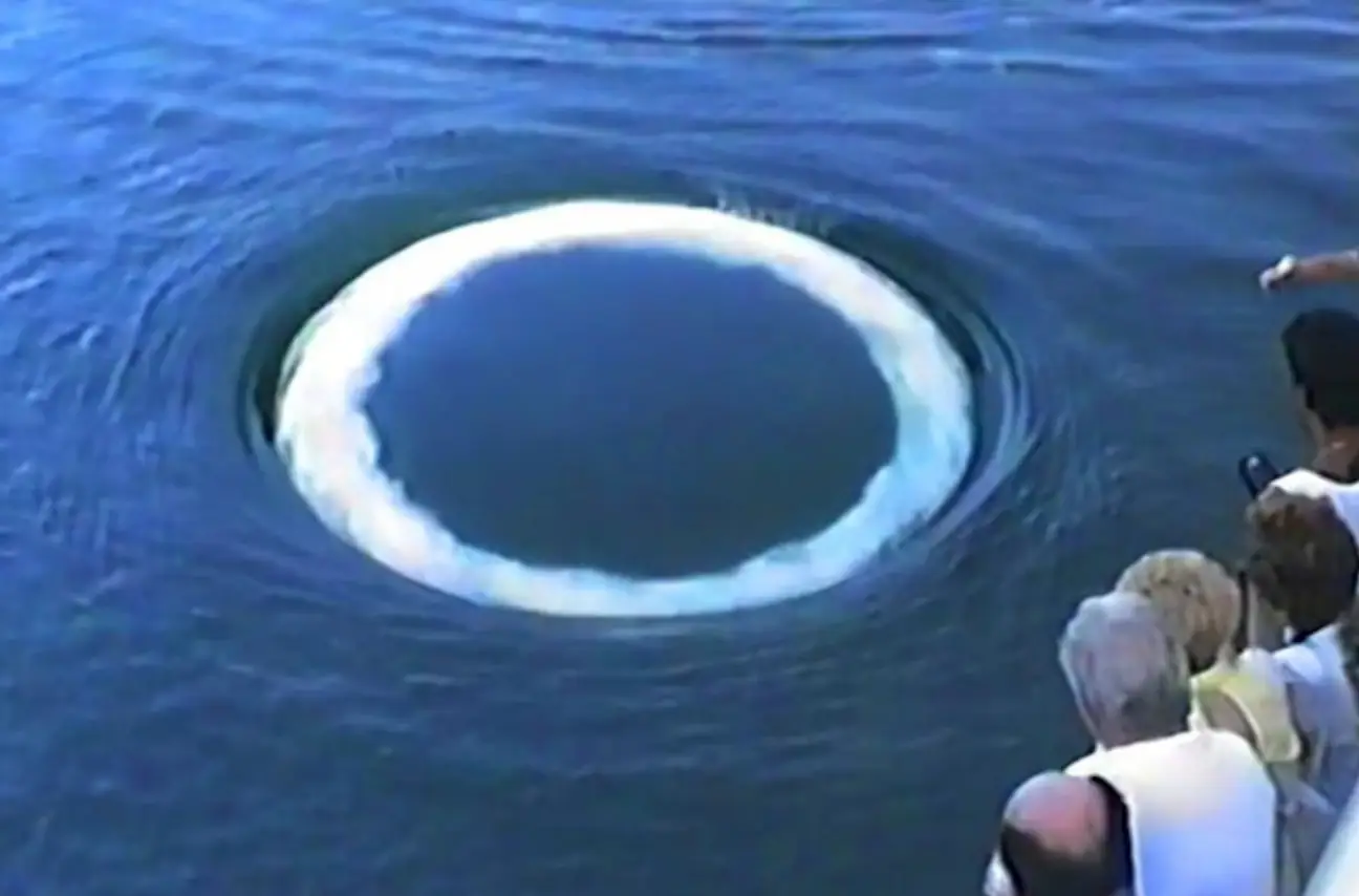 Researchers have been monitoring the behaviour of humpback whales leaving these rings (Dan Knaub, The Video Company)