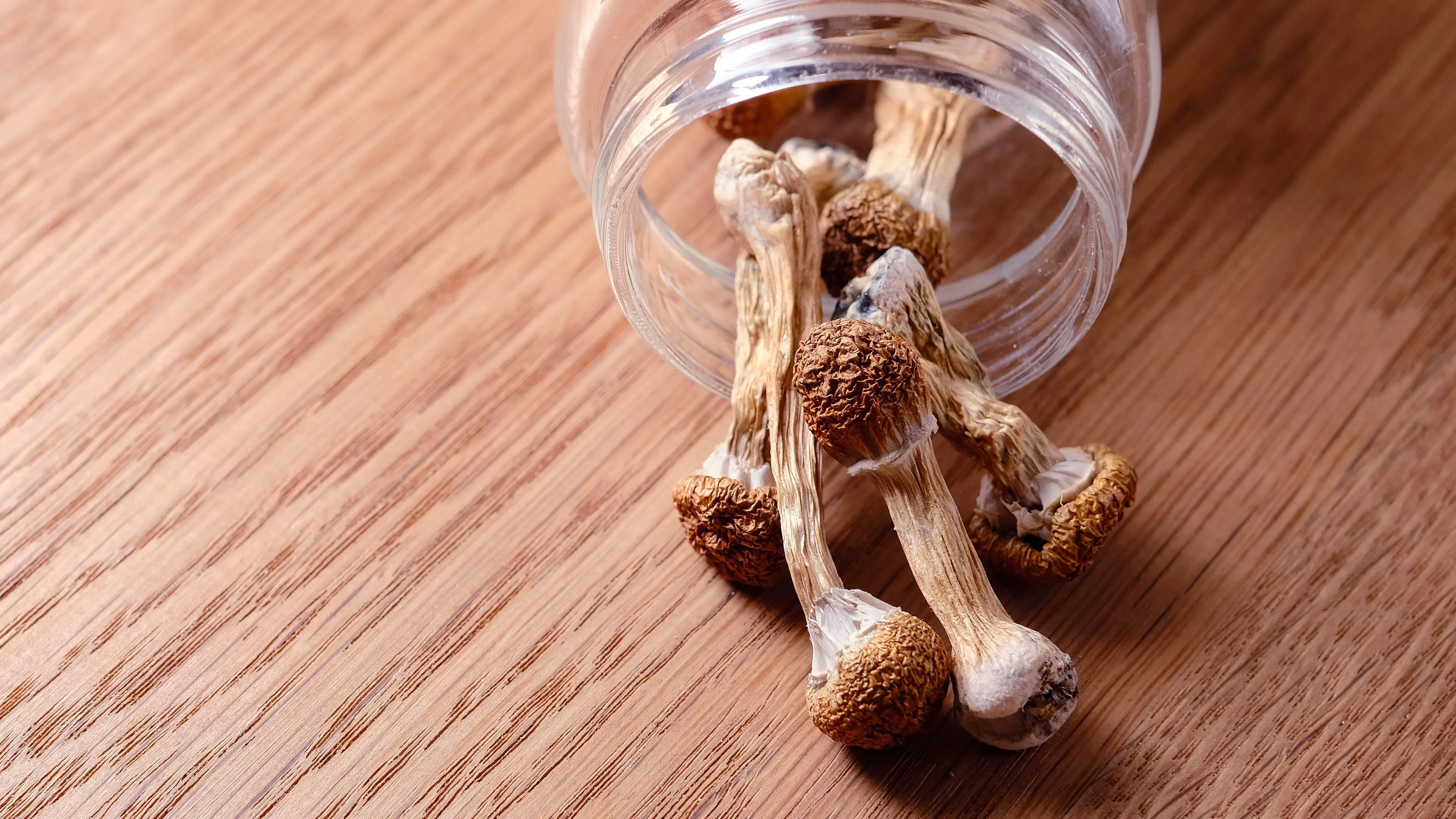 Cannabis_Pic / Alamy Stock Photo