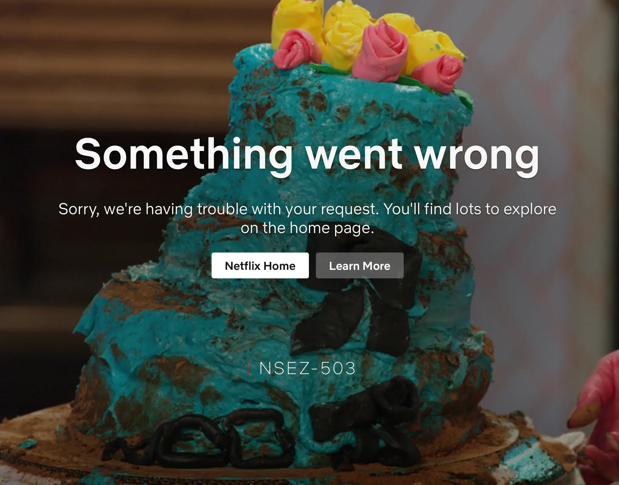 The error message that many received (Netflix)