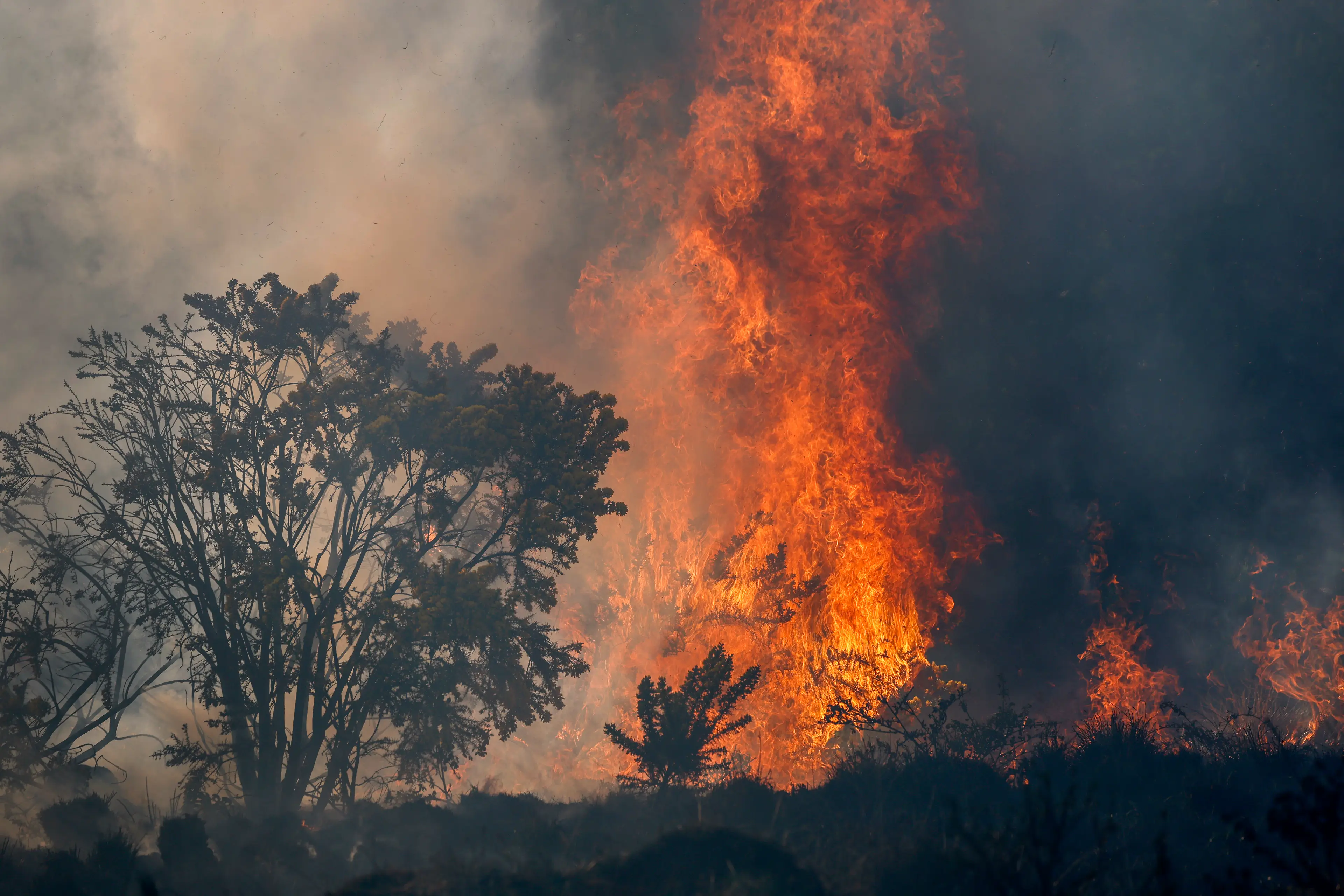 It's warned that areas of the UK are at an increased risk. (Jeff J Mitchell/Getty Images)