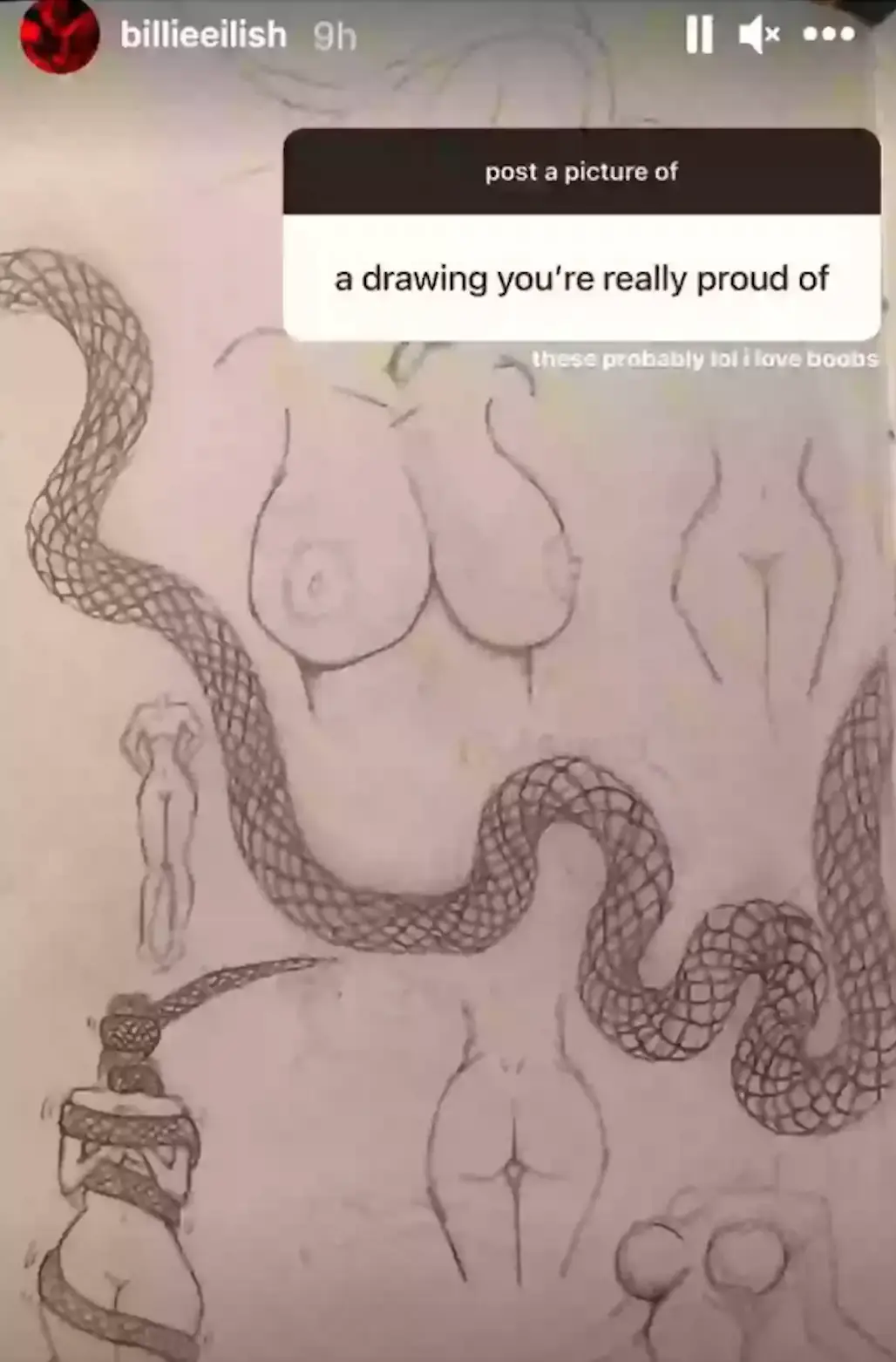 Yep, that's boobs (Instagram/@billieeilish)