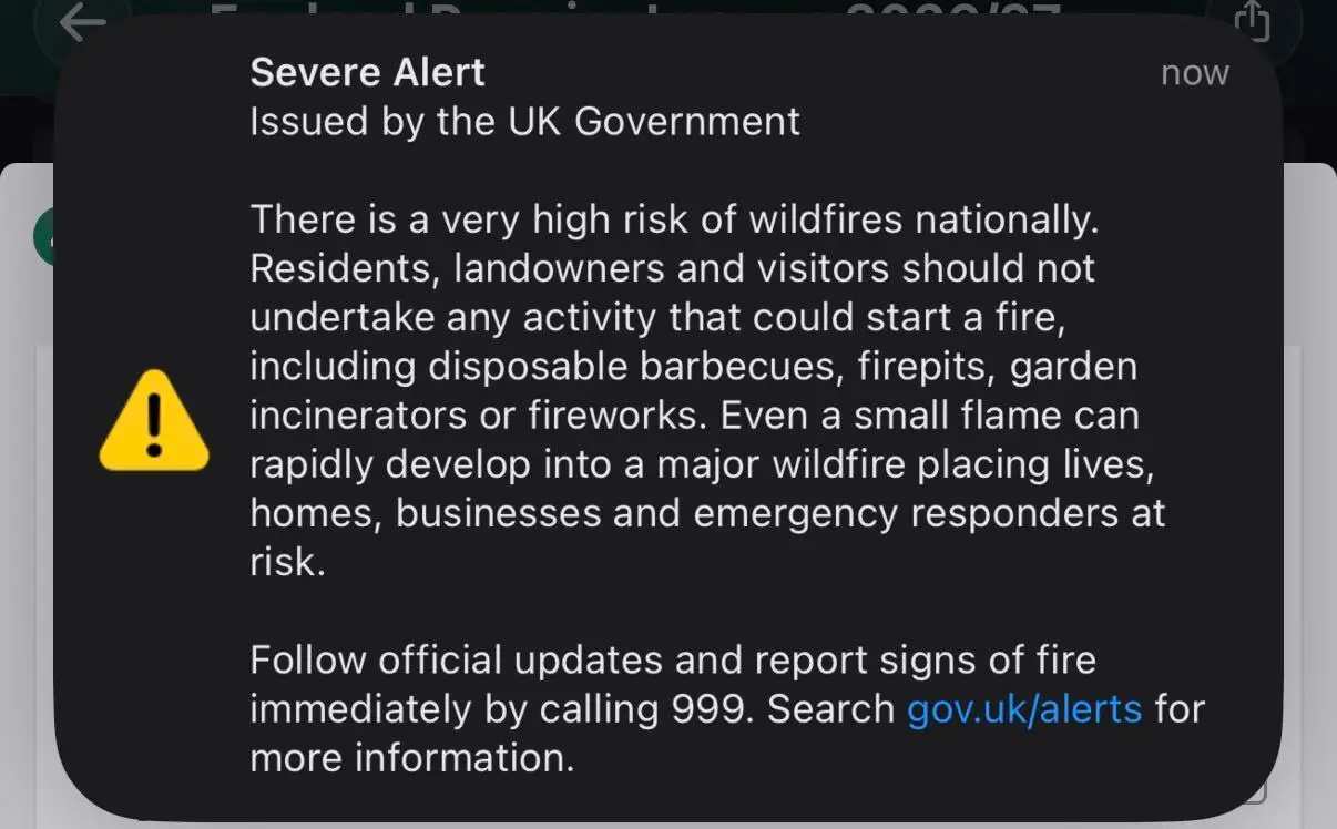 The official alert that was sent out (LADbible)