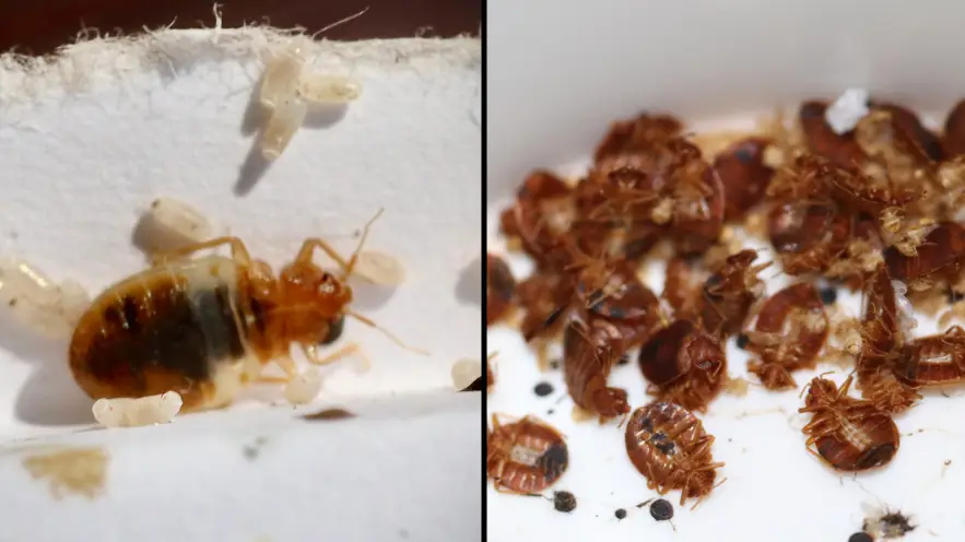 Getty Images/Stock Photo