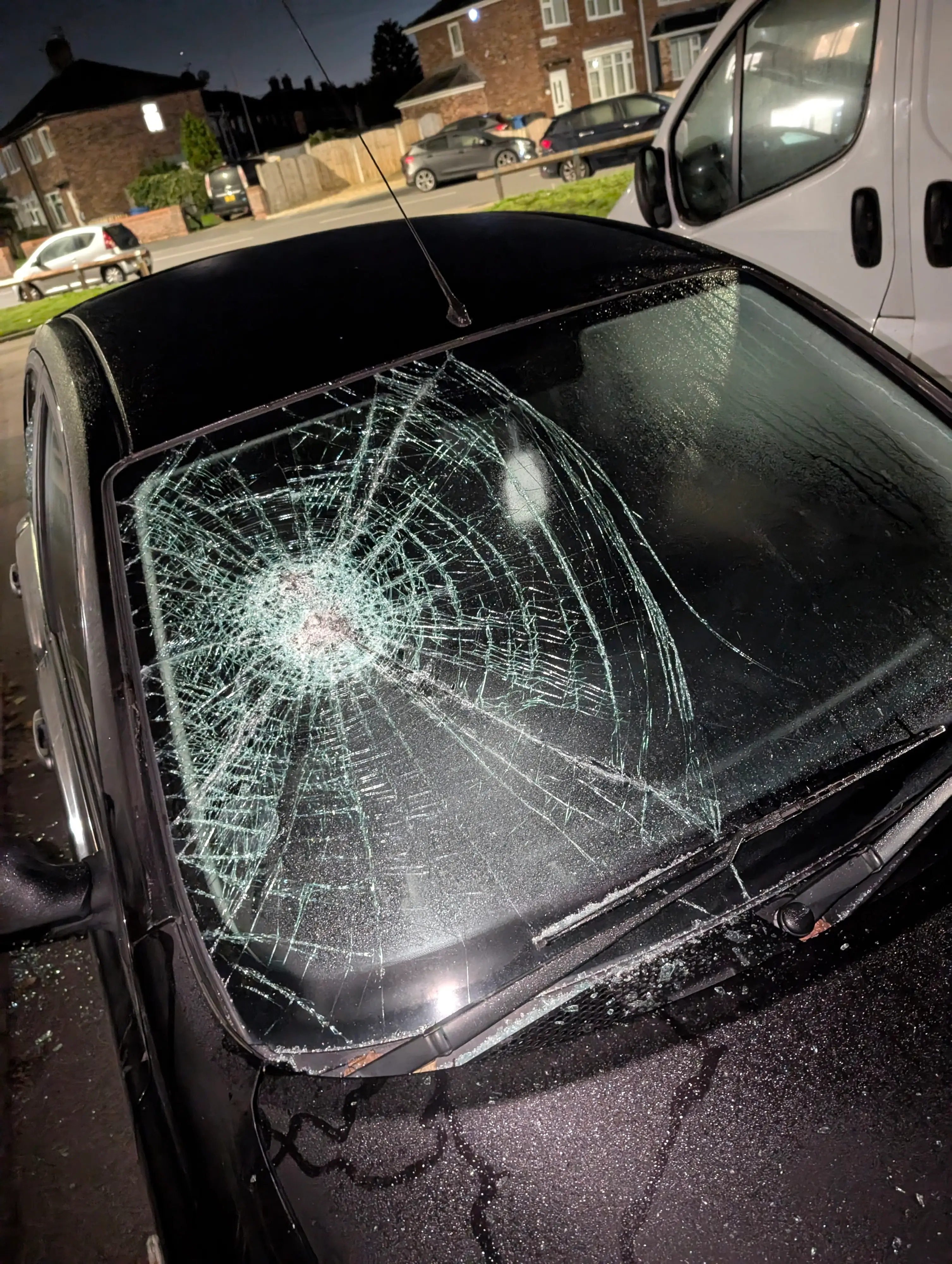 She reckons that the sound of the alleged attack on her car startled the animal (SWNS)
