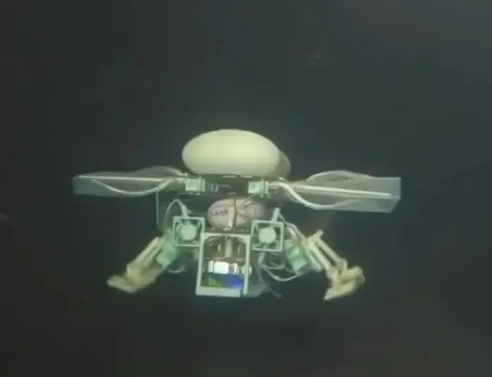 The tiny submarine is just 50cm wide and weighs just 16g (Chinese Embassy Manila)