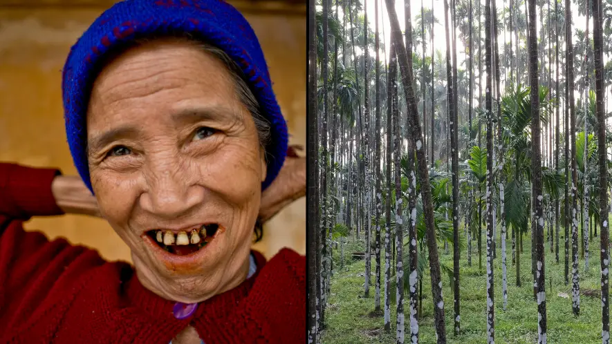 Joerg Boethling / Alamy Stock Photo