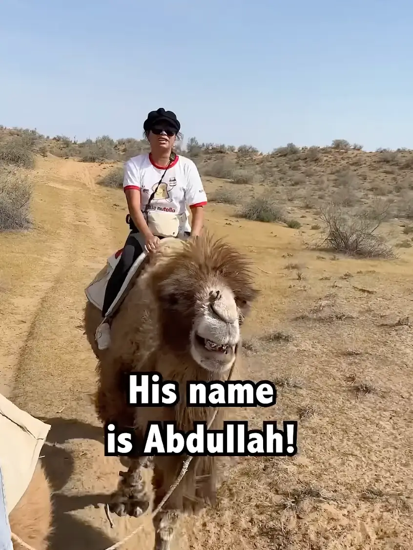 This looks fun (YouTube/Drew Binsky)