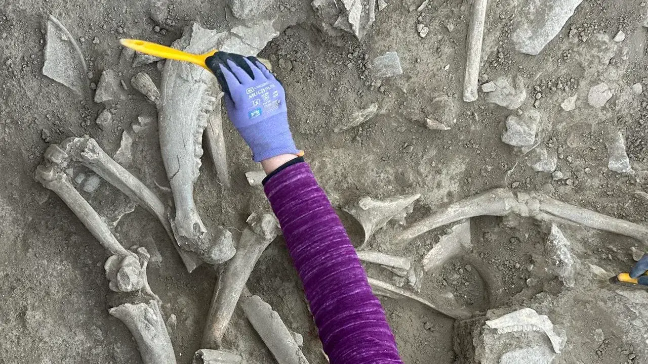 (Uşaklı Höyük Archaeological Project / University of Pisa)