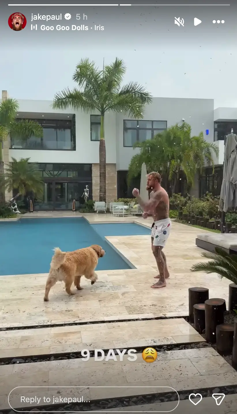 It seems the fight is very much still on (Instagram/@jakepaul)