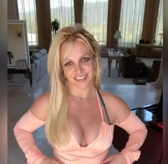 Britney has taken down her social media (Instagram/@britneyspears)