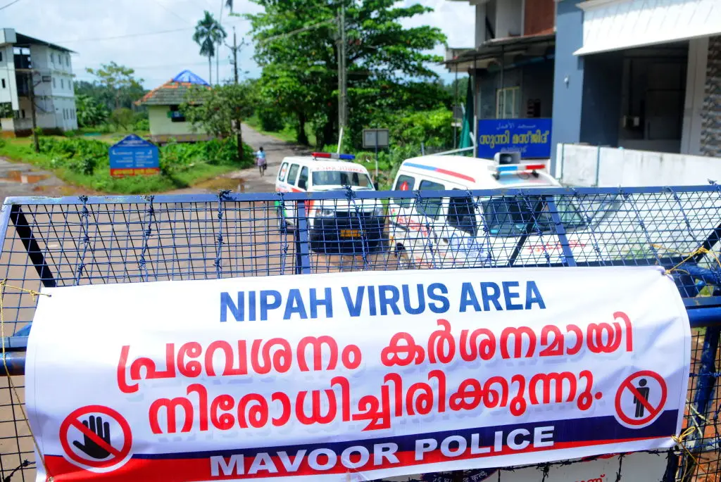 At least five confirmed cases of a Nipah virus have been reported in West Bengal (C. K Thanseer/DeFodi images via Getty Images)