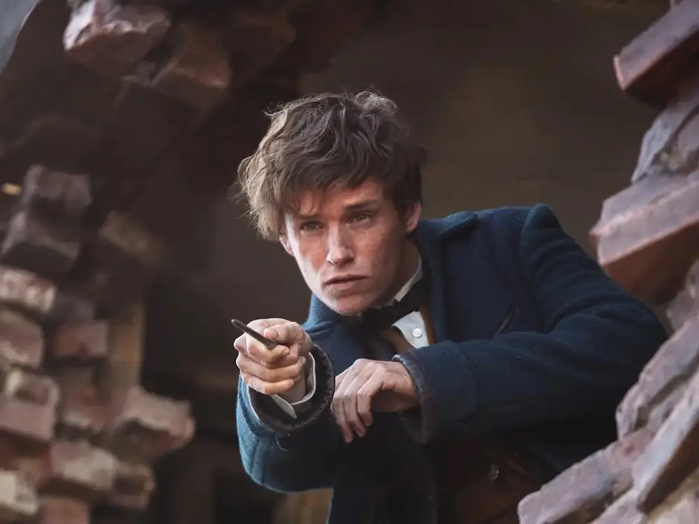 Eddie plays Newt Scamander in the Fantastic Beasts franchise.