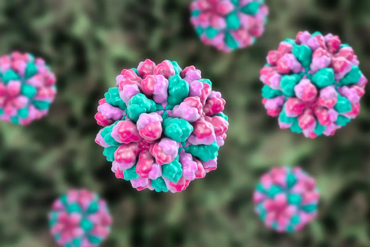 Norovirus can spread very easily (Getty Stock Images)