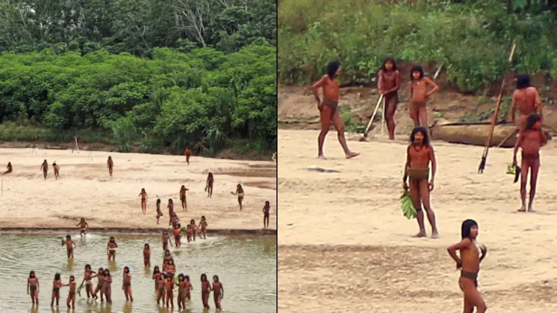 Survival International