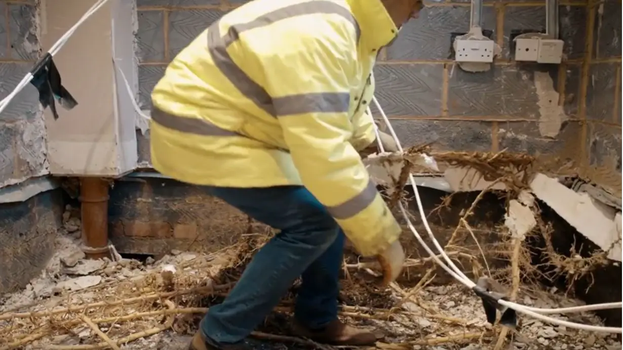 Warning Issued After Homeowner's Bamboo Caused £100,000 Worth Of Damage To Neighbour's House