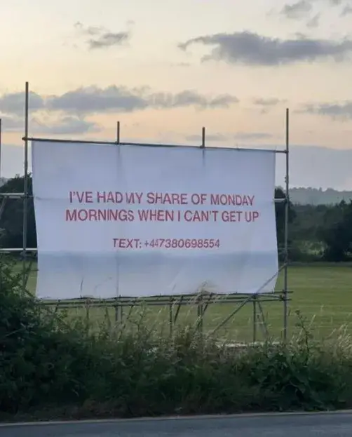 These billboards have been popping up (X)