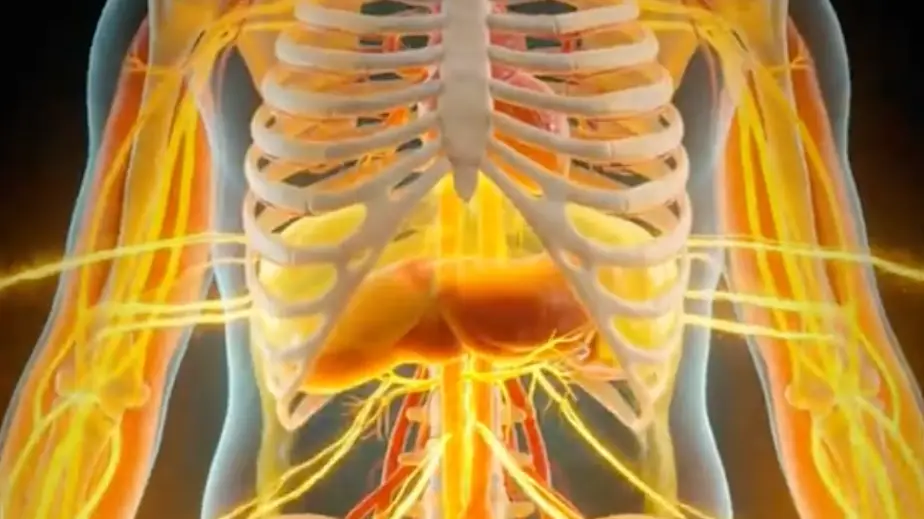 TikTok/ScienceToday