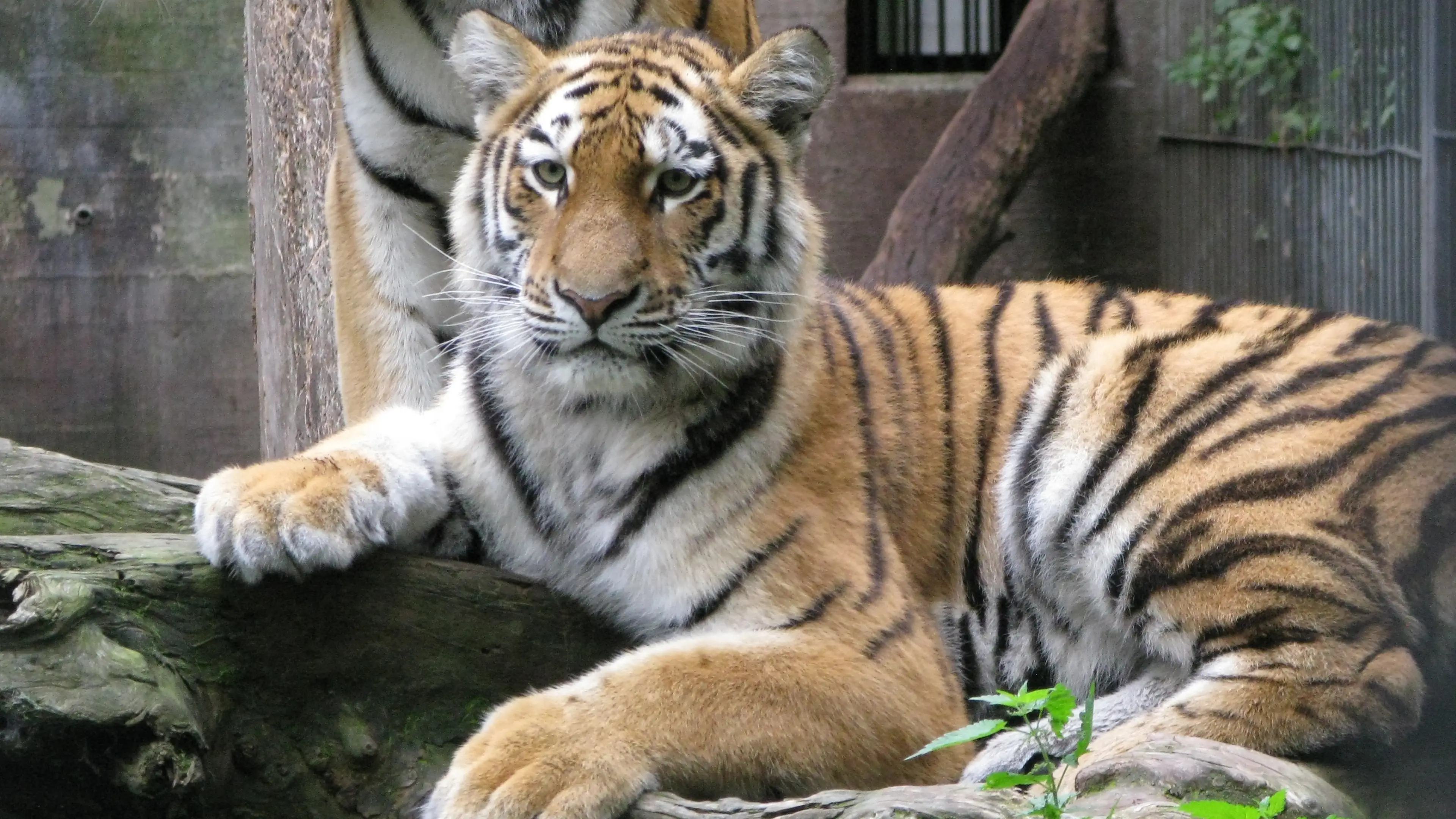 Peter Bischoff/Getty Images