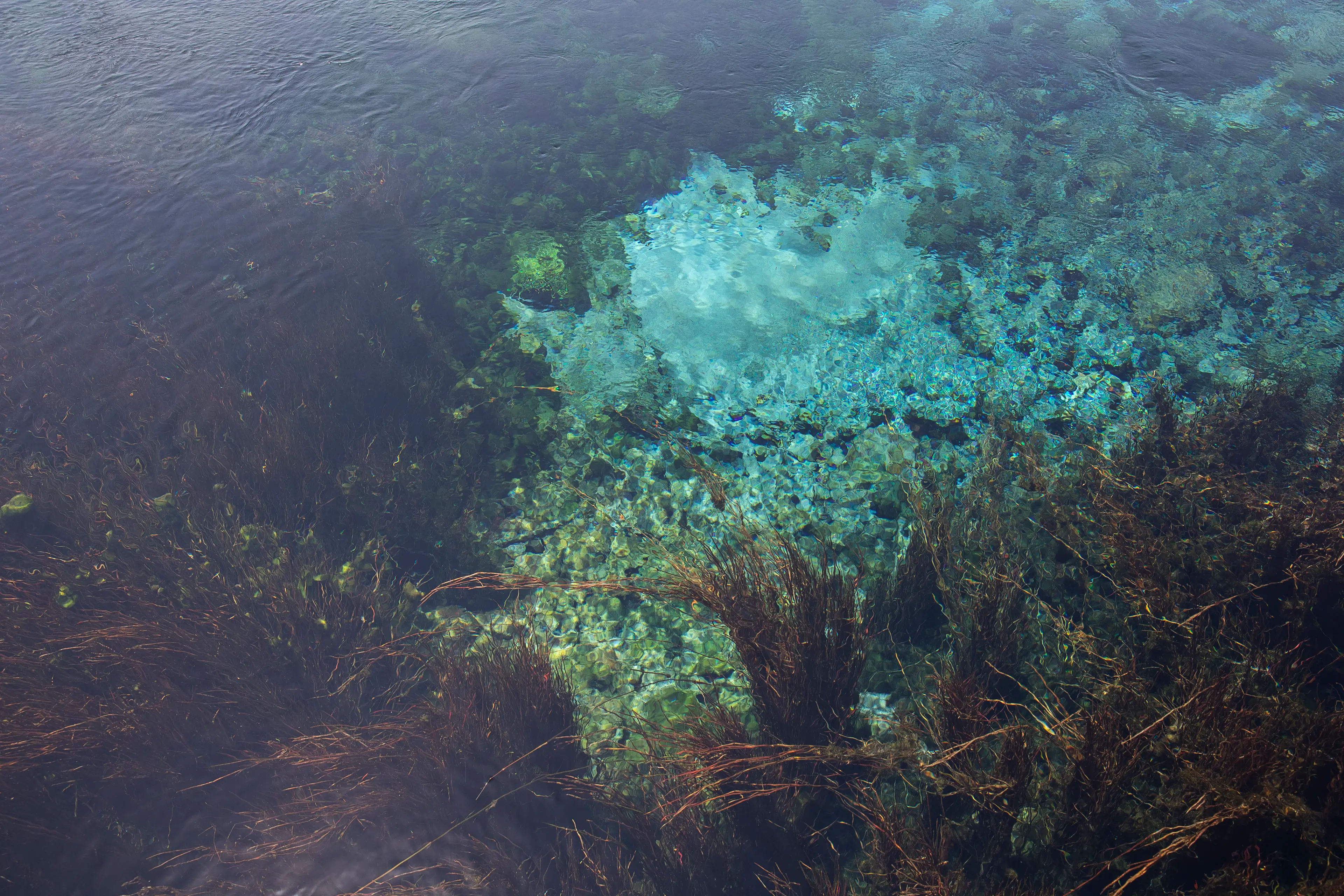 The world's clearest freshwater is found here but you mustn't touch.