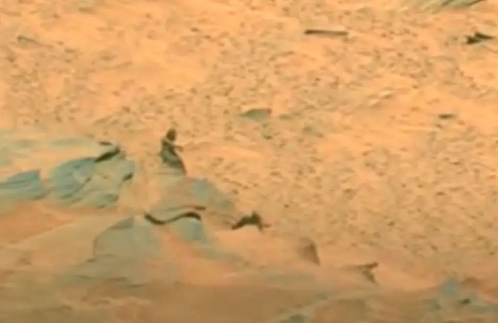 Maybe Bigfoot just wanted some peace and quiet. (NASA/JPL-Caltech/Cornell University)