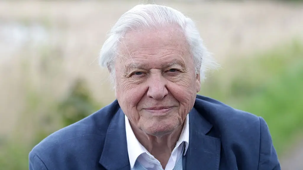 Danny Martindale/WireImage
