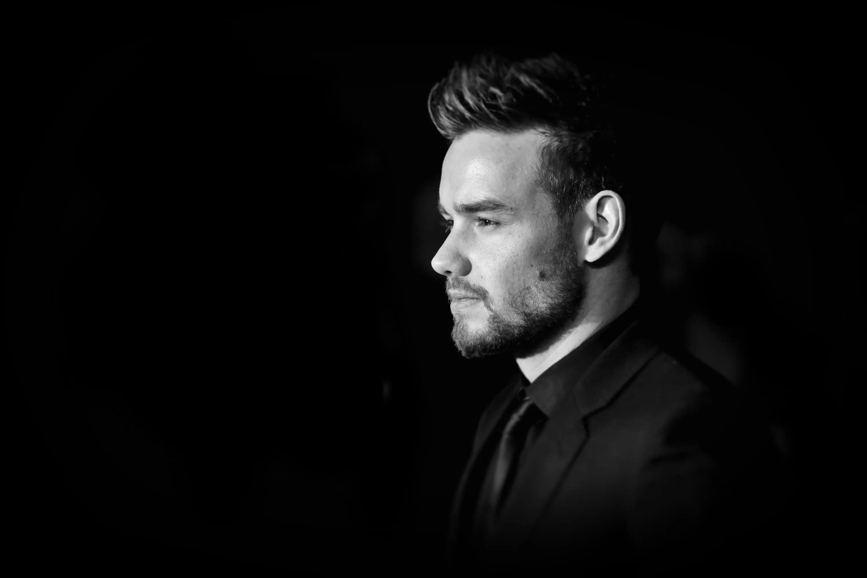 Liam Payne (Mike Marsland/Mike Marsland/WireImage)