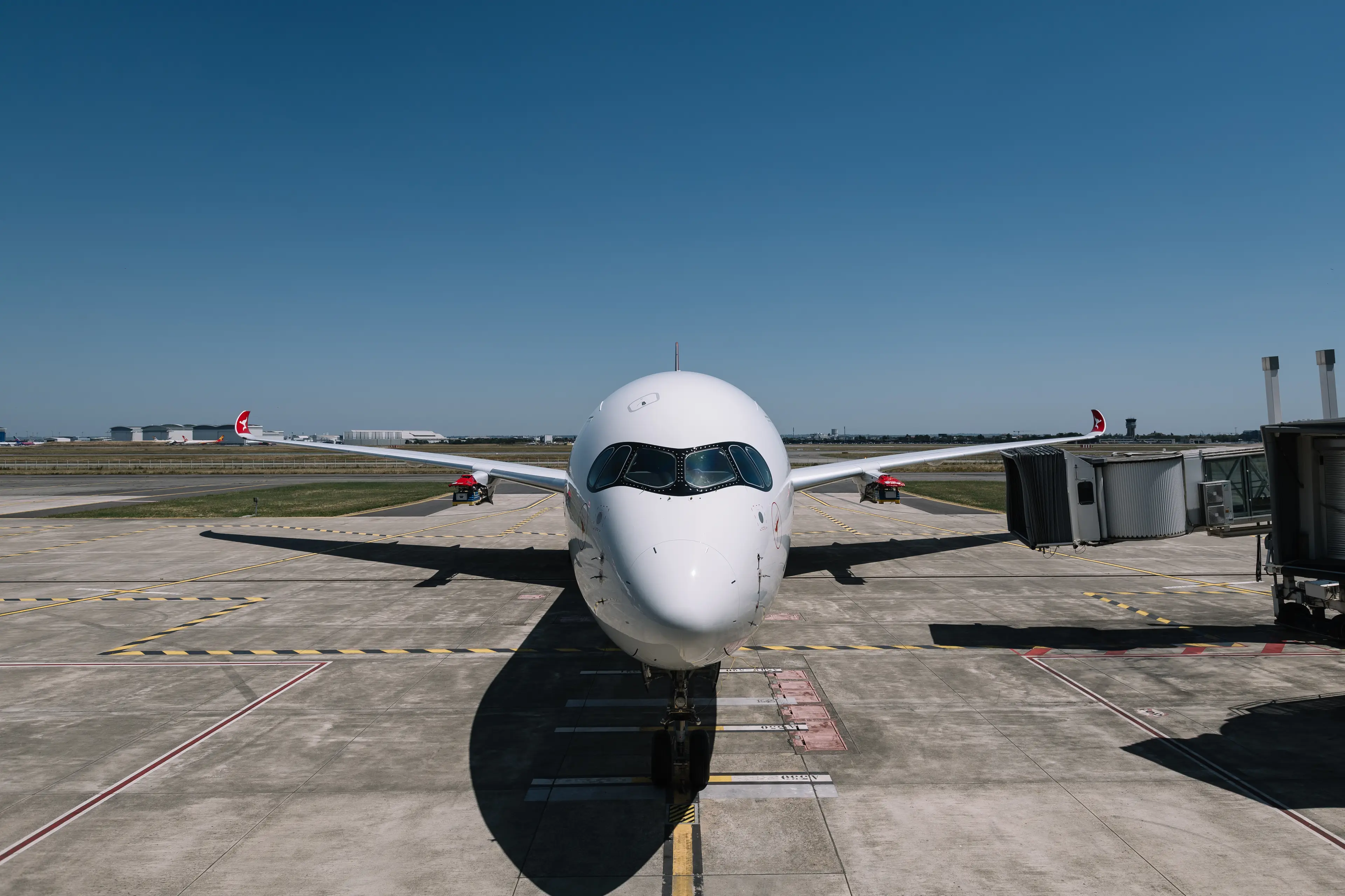 It's a beauty (Stuart Bailey / Qantas)