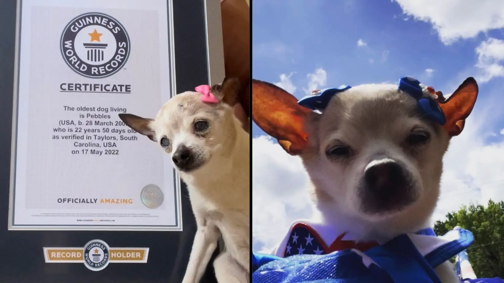 pebbles_since_2000/Instagram.