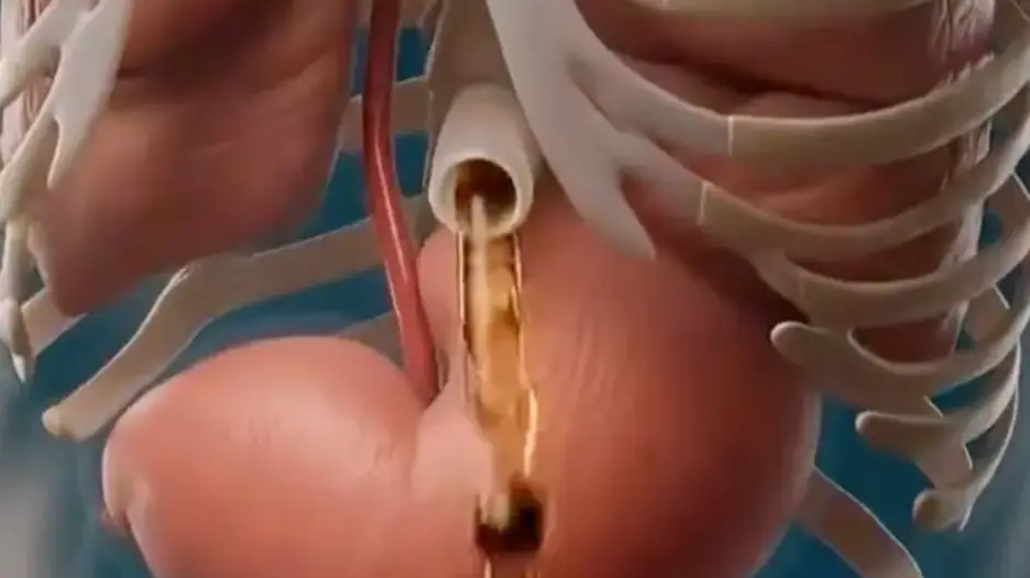 @‌dr.boogie/TikTok