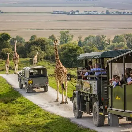 Port Lympne