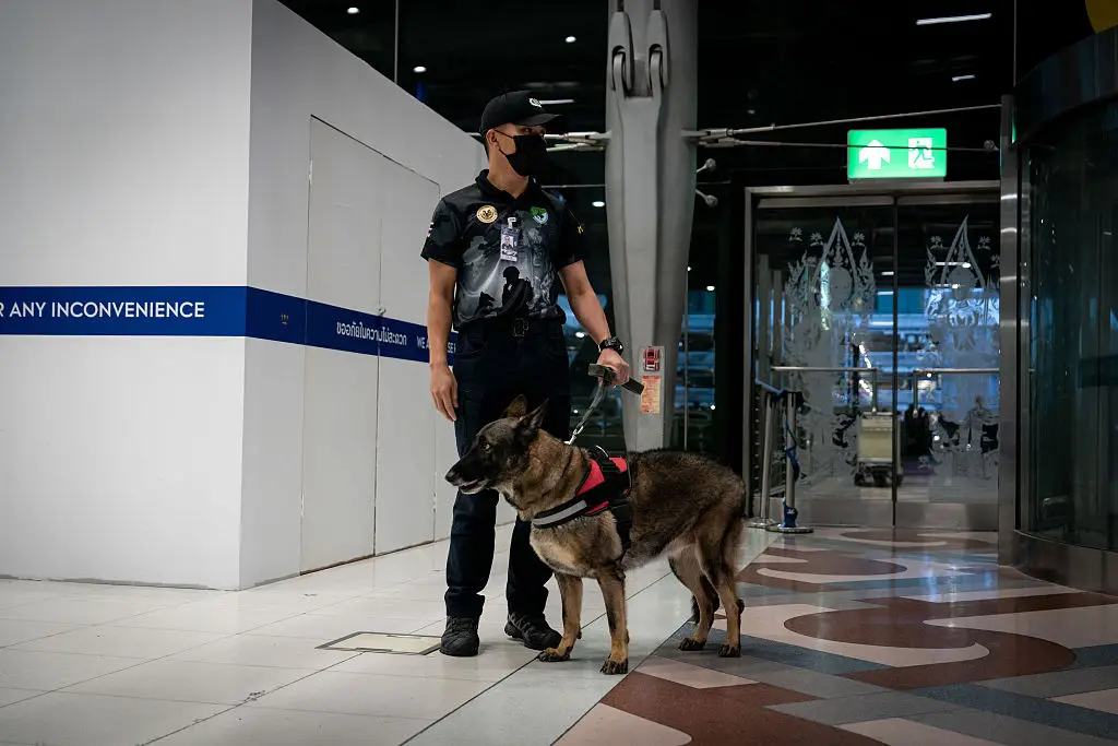 Police at Bangkok International Airport (Matt Hunt/NurPhoto via Getty Images)