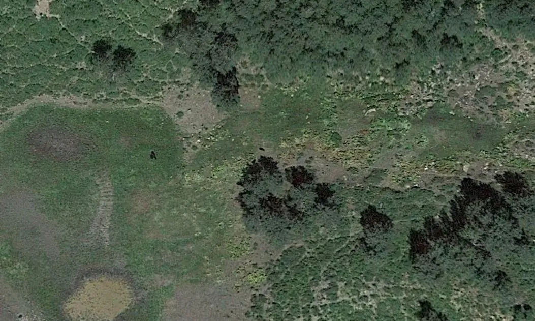 Some Redditors aren't convinced by the snap.