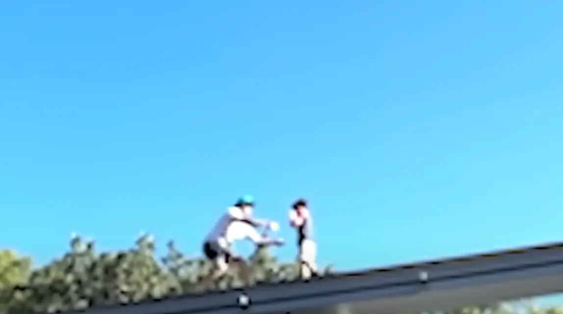 A good Samaritan managed to save the boy (ABC7)