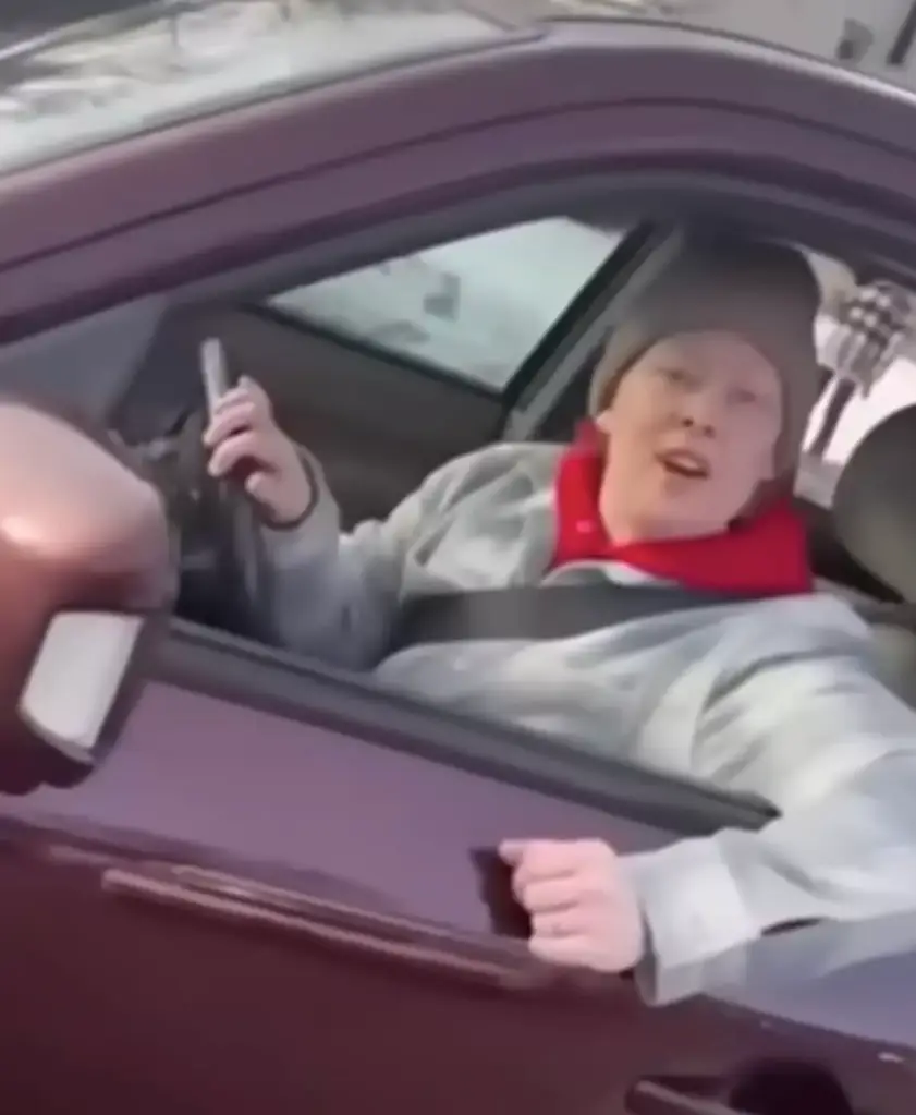 Footage captured Renee Good's deadly interaction with an ICE agent on camera (X)