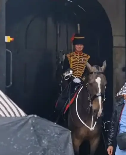 The video showed a King's Guard tearing up (YouTube/ BUSKA IN THE PARK)