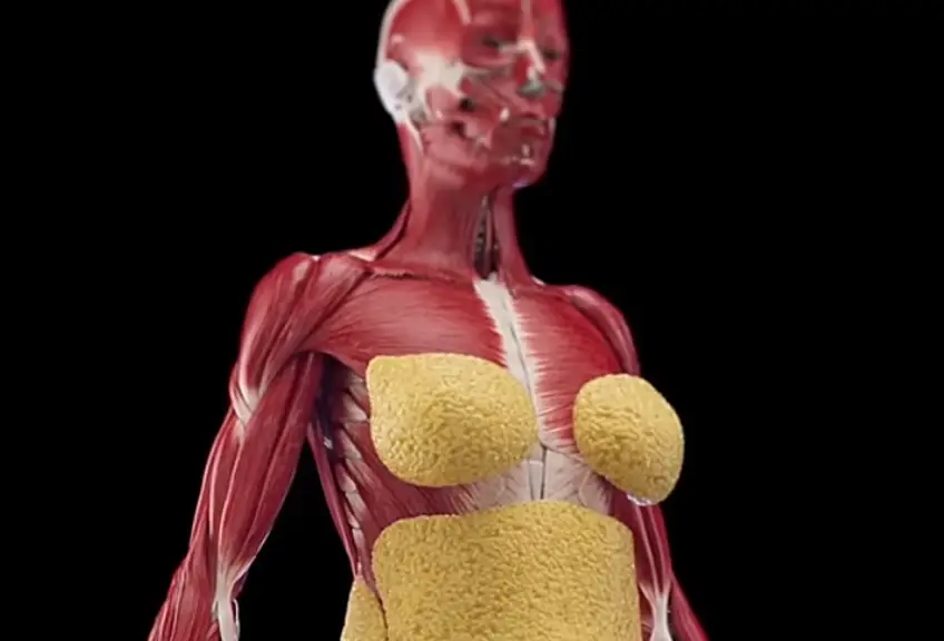 Perhaps the strangest part of these fasting videos is the fact that your skin seems to vanish without food (YouTube/TrainAiFit)