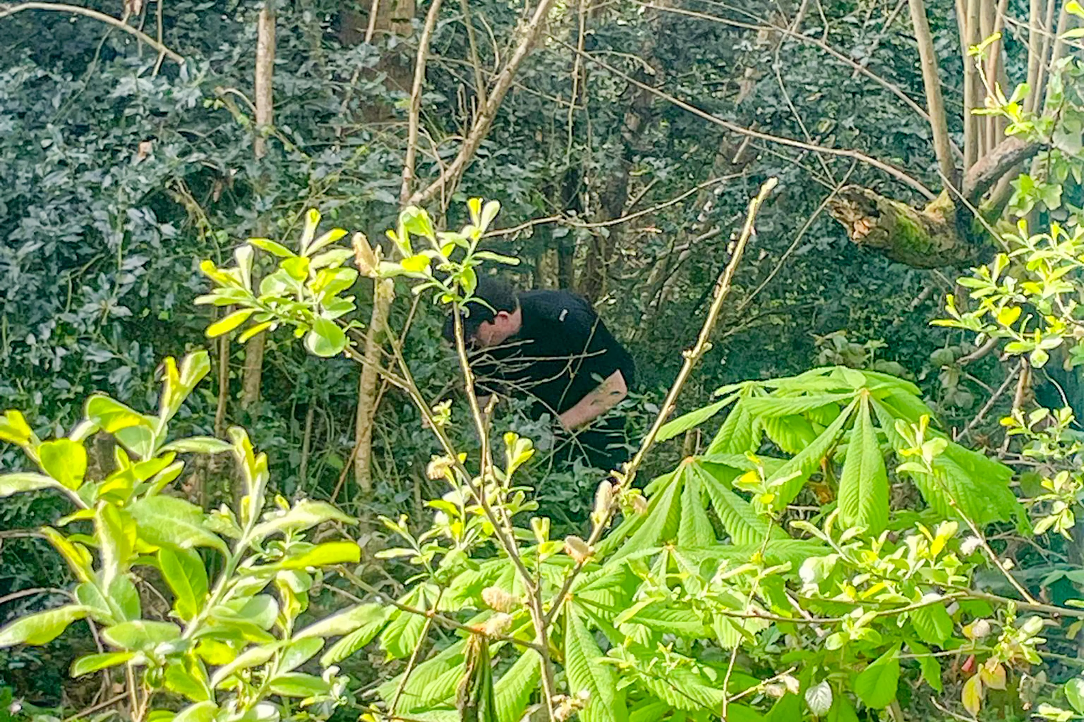 The boys found the weapon in a patch of woodland in Southampton(Solent News)
