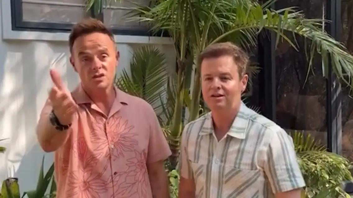 Instagram/@antanddec