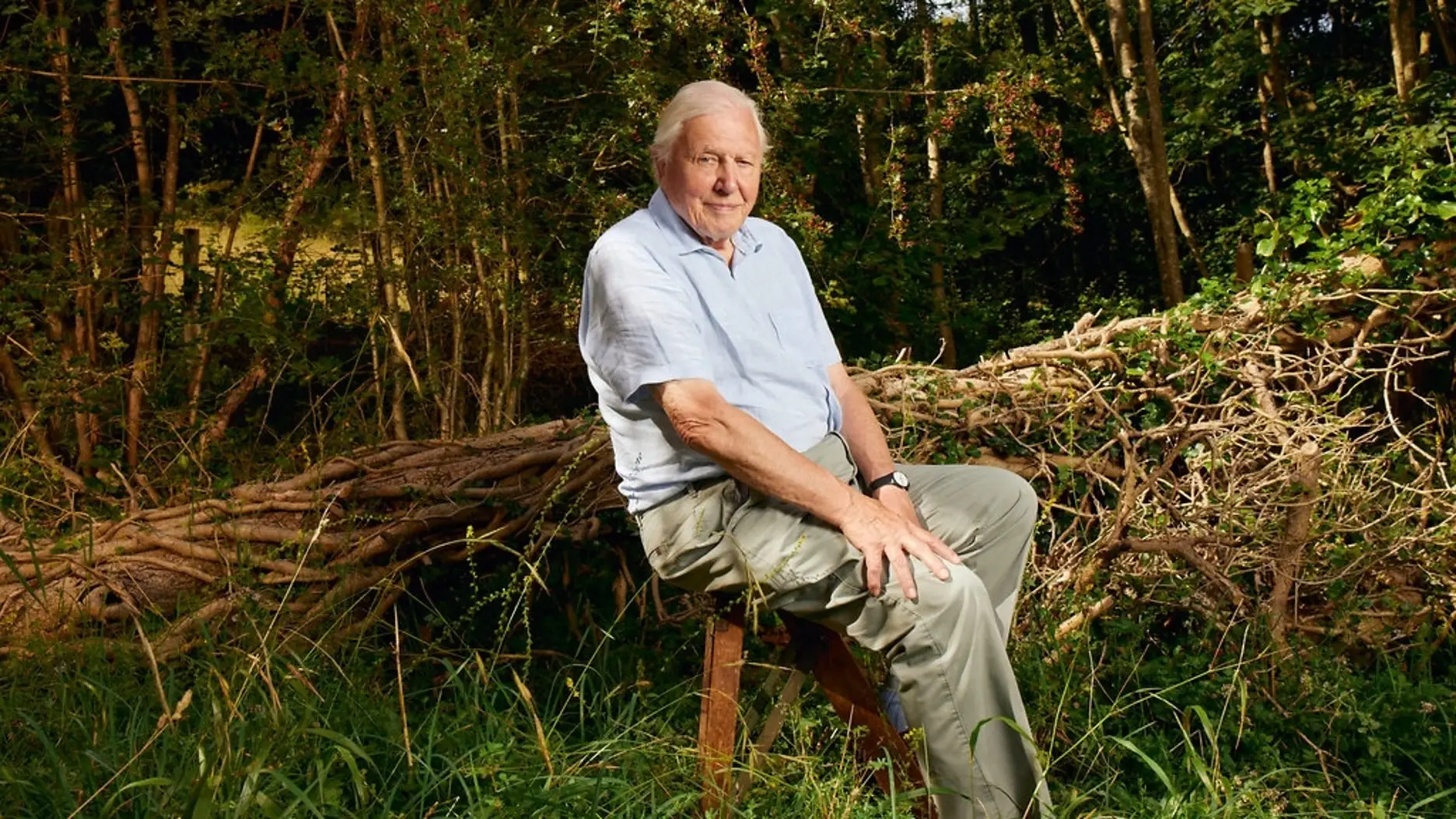 Sir David Attenborough’s BBC crew broke their own rule