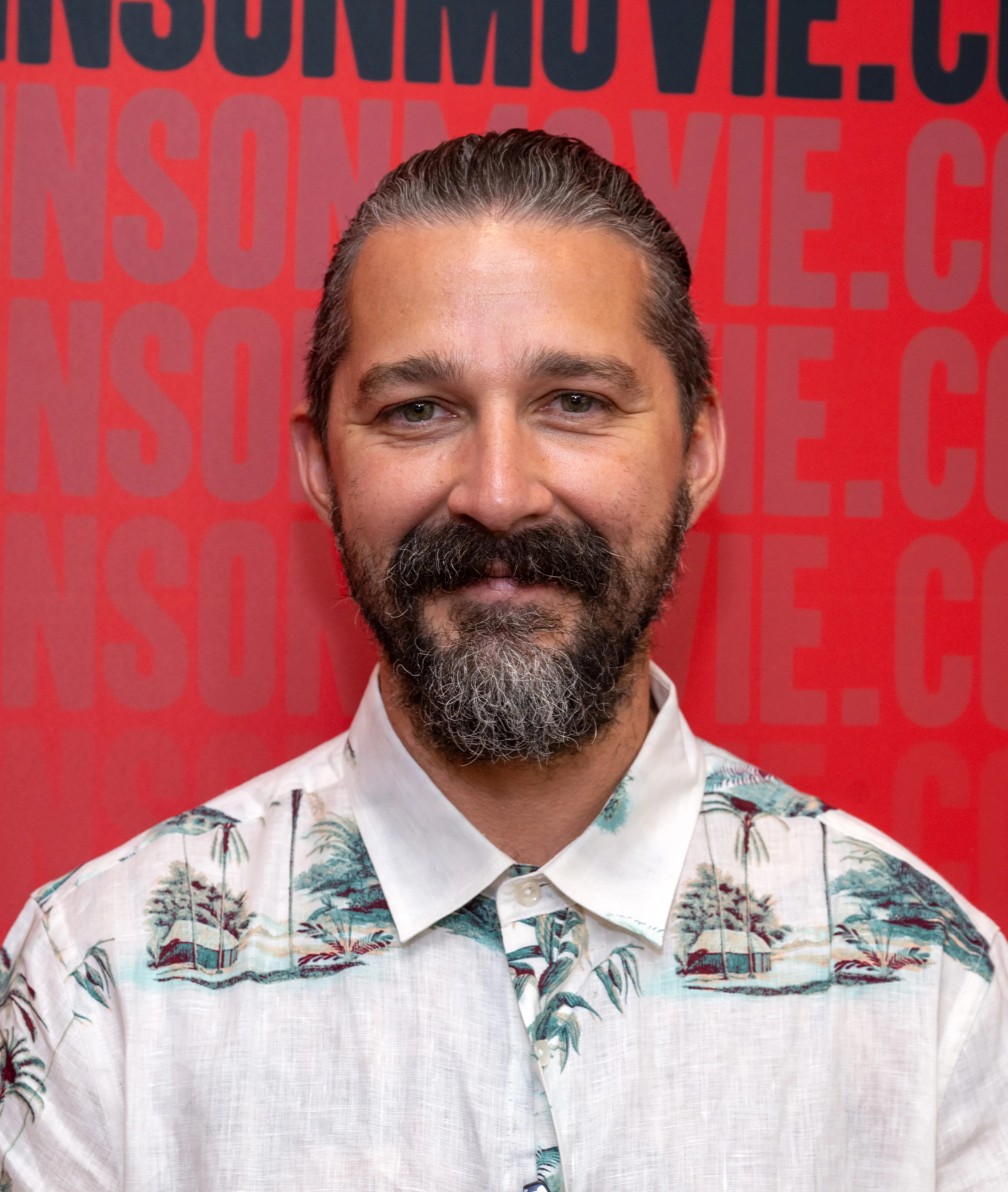 The actor, 40, admitted he still drinks alcohol daily according to court documents (Amanda Edwards/Getty Images)