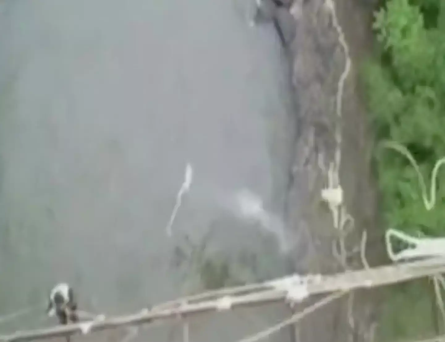 It was a miracle that she didn't die upon impact. (9 News)