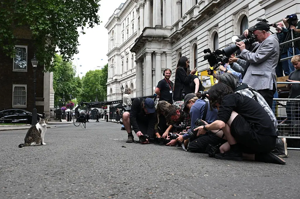 Larry is a British icon (Ben Montgomery/Getty Images)