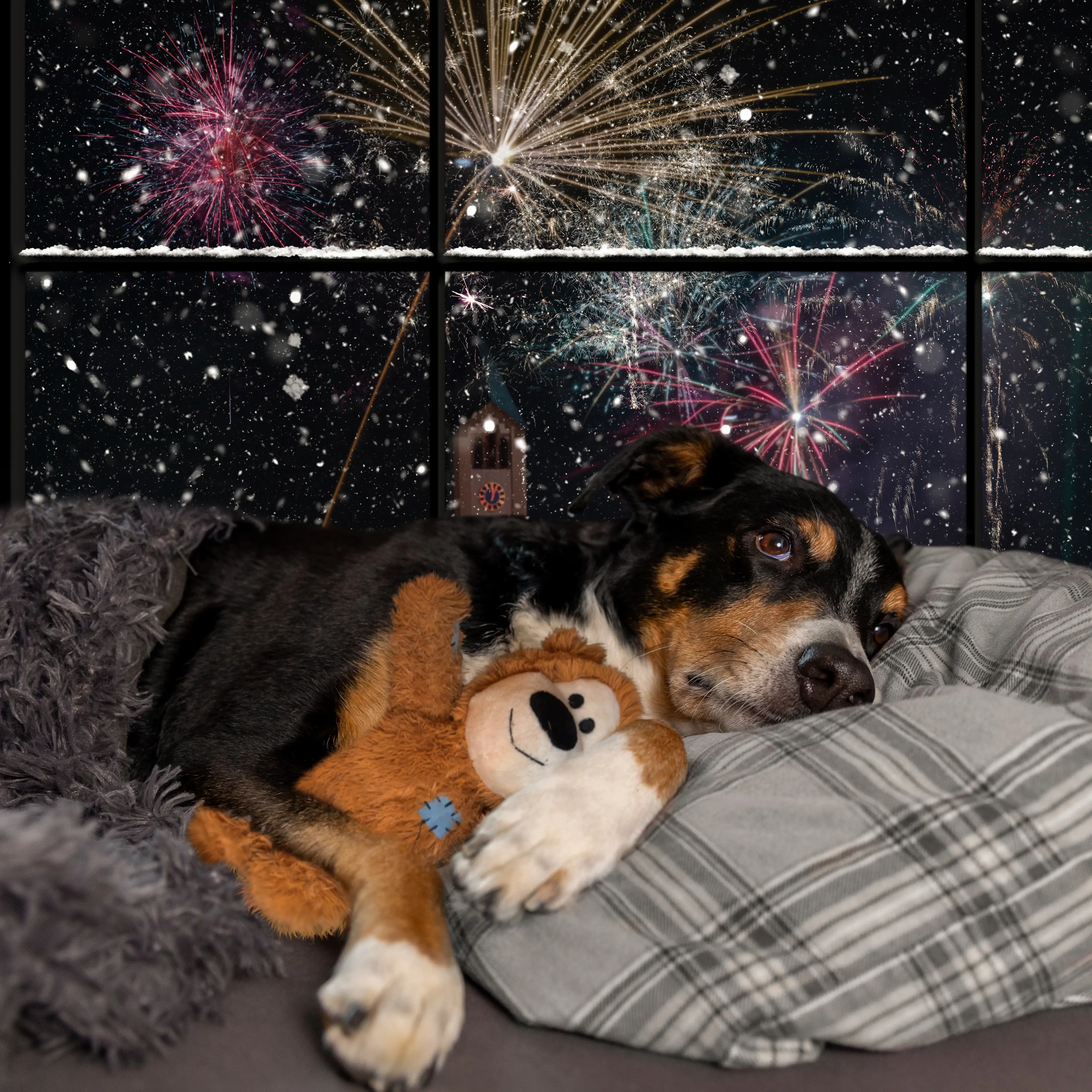 Your dogs might not like Bonfire Night as much as you do. (Getty Stock Photo)
