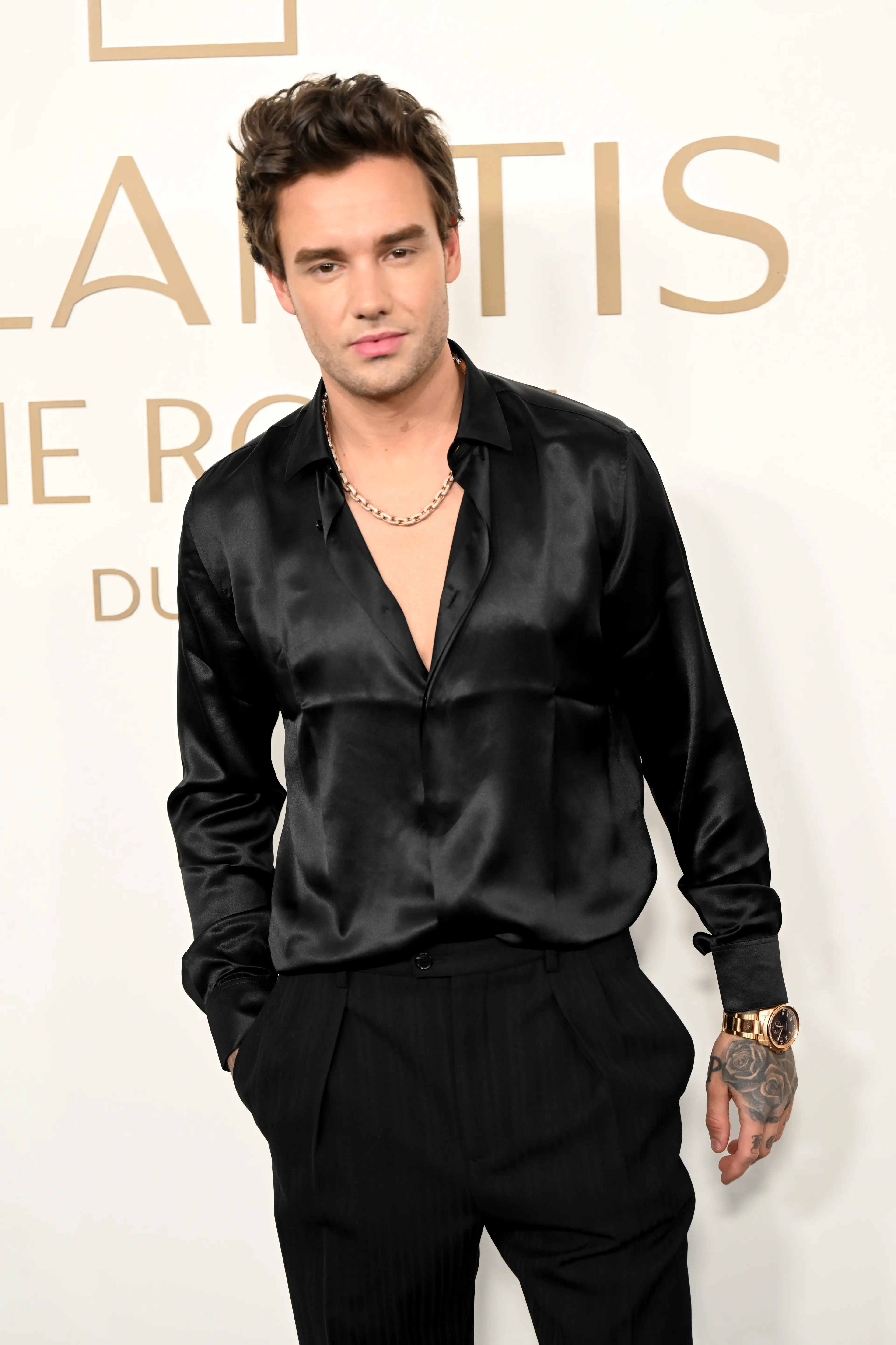 Liam Payne died aged just 31 (Samir Hussein via Getty Images)